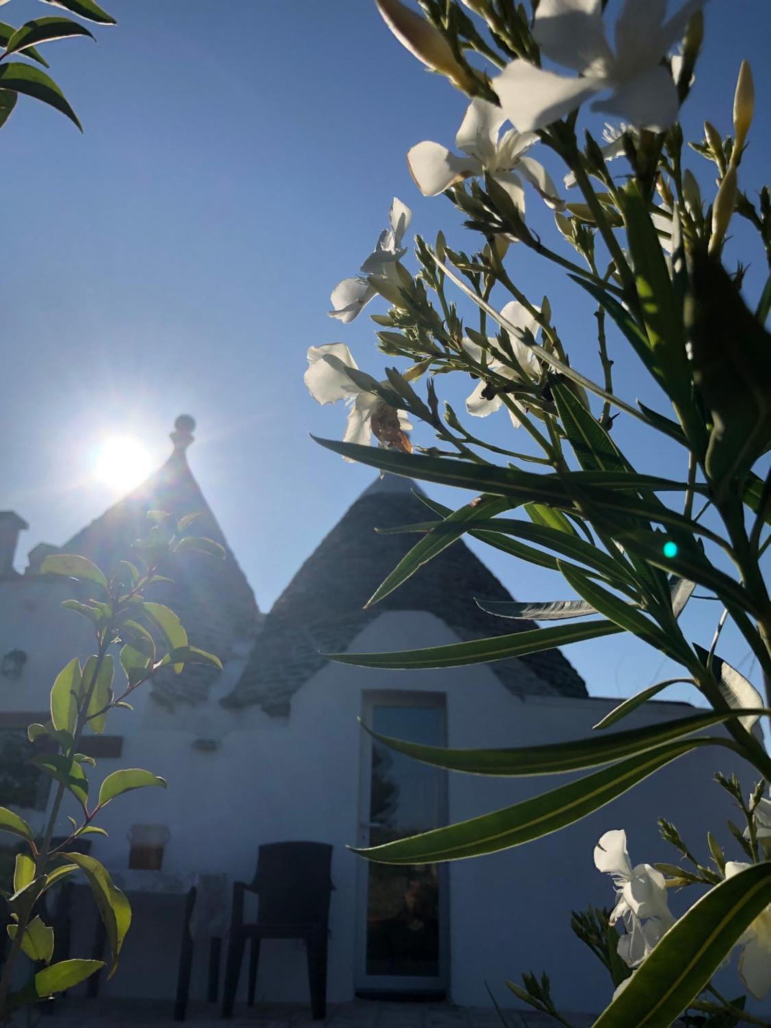 Вилла Trullo Trilli Puglia Мартина-Франка Экстерьер фото