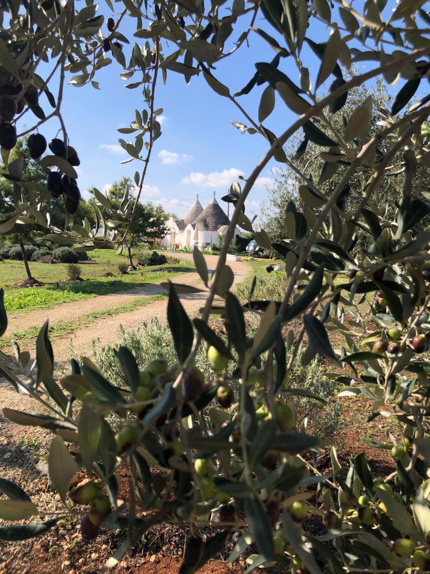 Вилла Trullo Trilli Puglia Мартина-Франка Экстерьер фото
